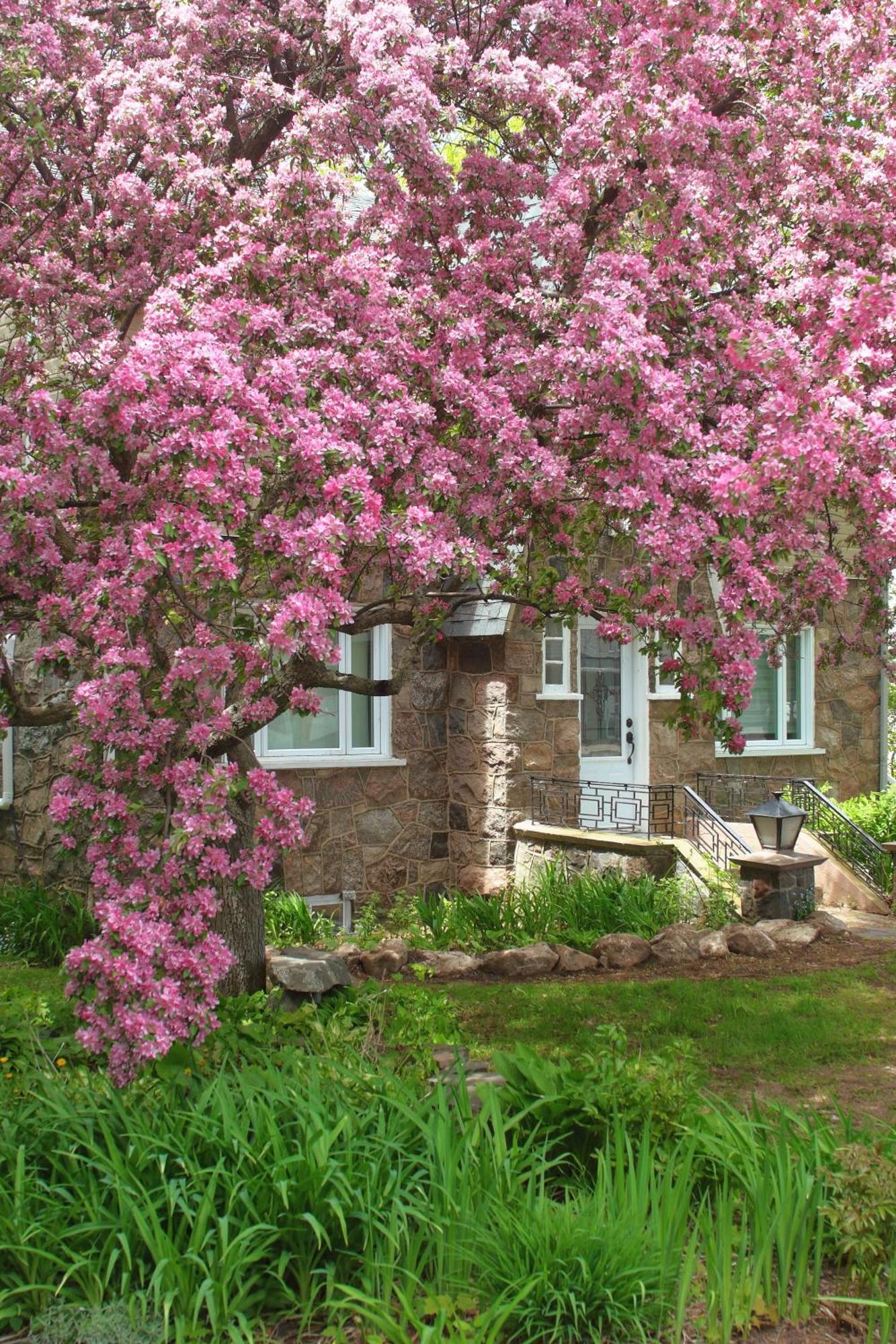 Rester Vivant Chambres D'Hotes Saint-Jean-Port-Joli Exterior foto